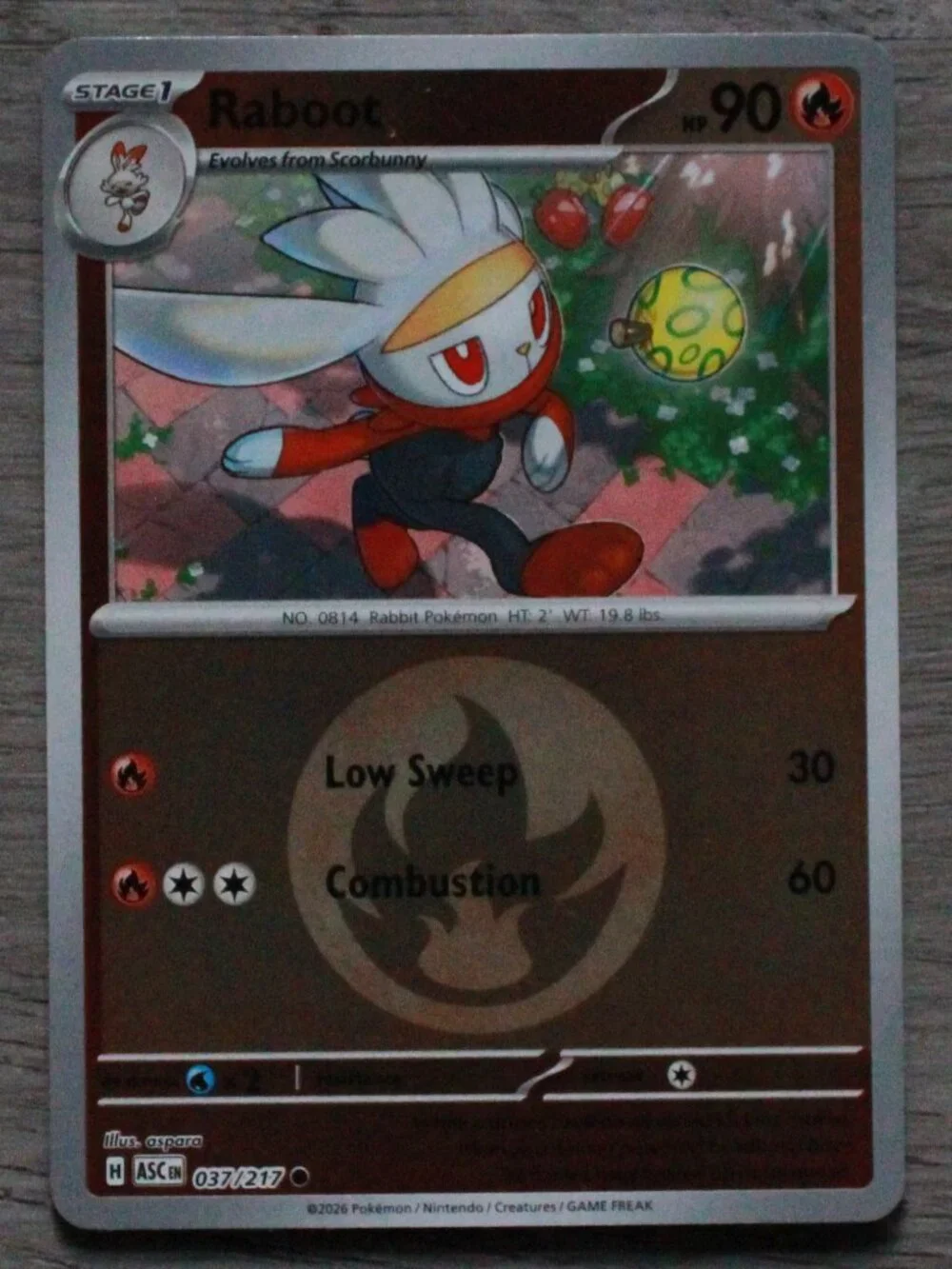 Pokemon 